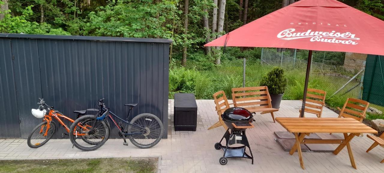 Apartmany Aktiv Lipno Lipno nad Vltavou Ngoại thất bức ảnh